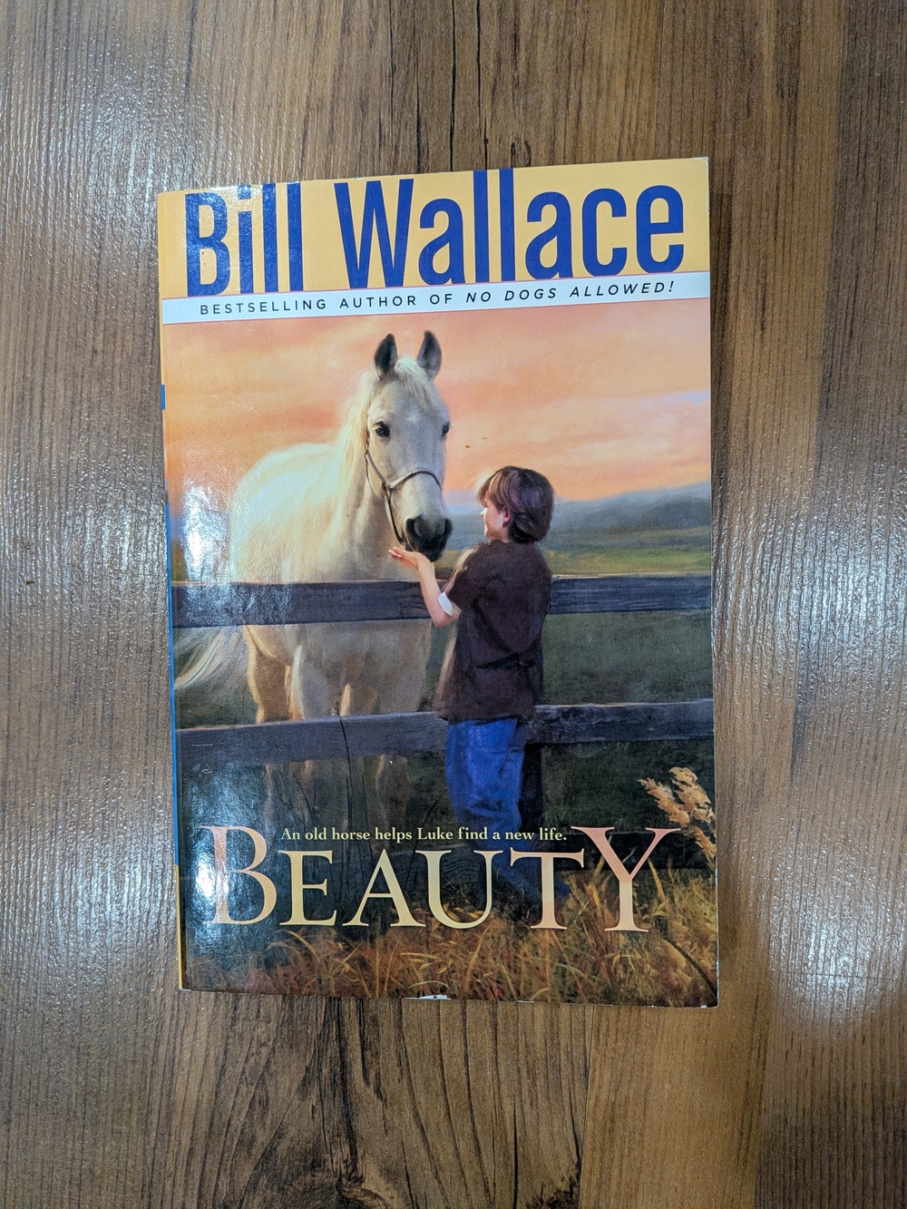 Bill Wallace "Beauty" Paperback Book For Kids